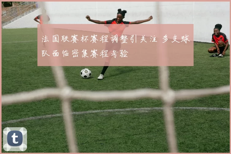 法国联赛杯赛程调整引关注 多支球队面临密集赛程考验