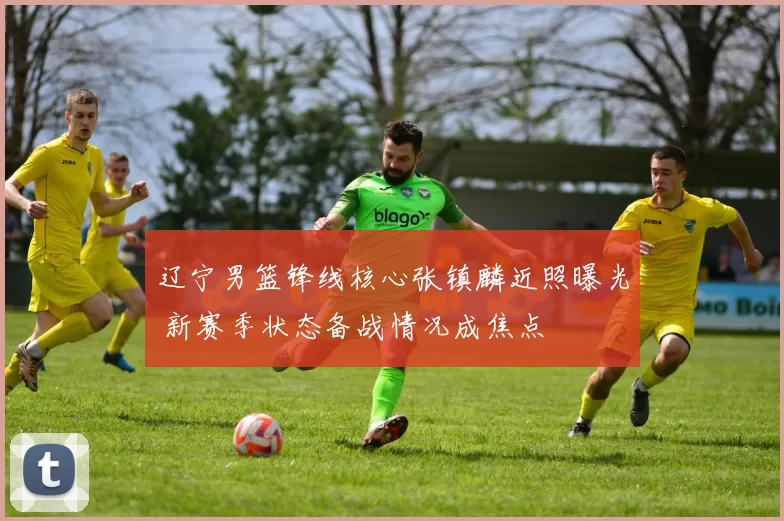 辽宁男篮锋线核心张镇麟近照曝光 新赛季状态备战情况成焦点